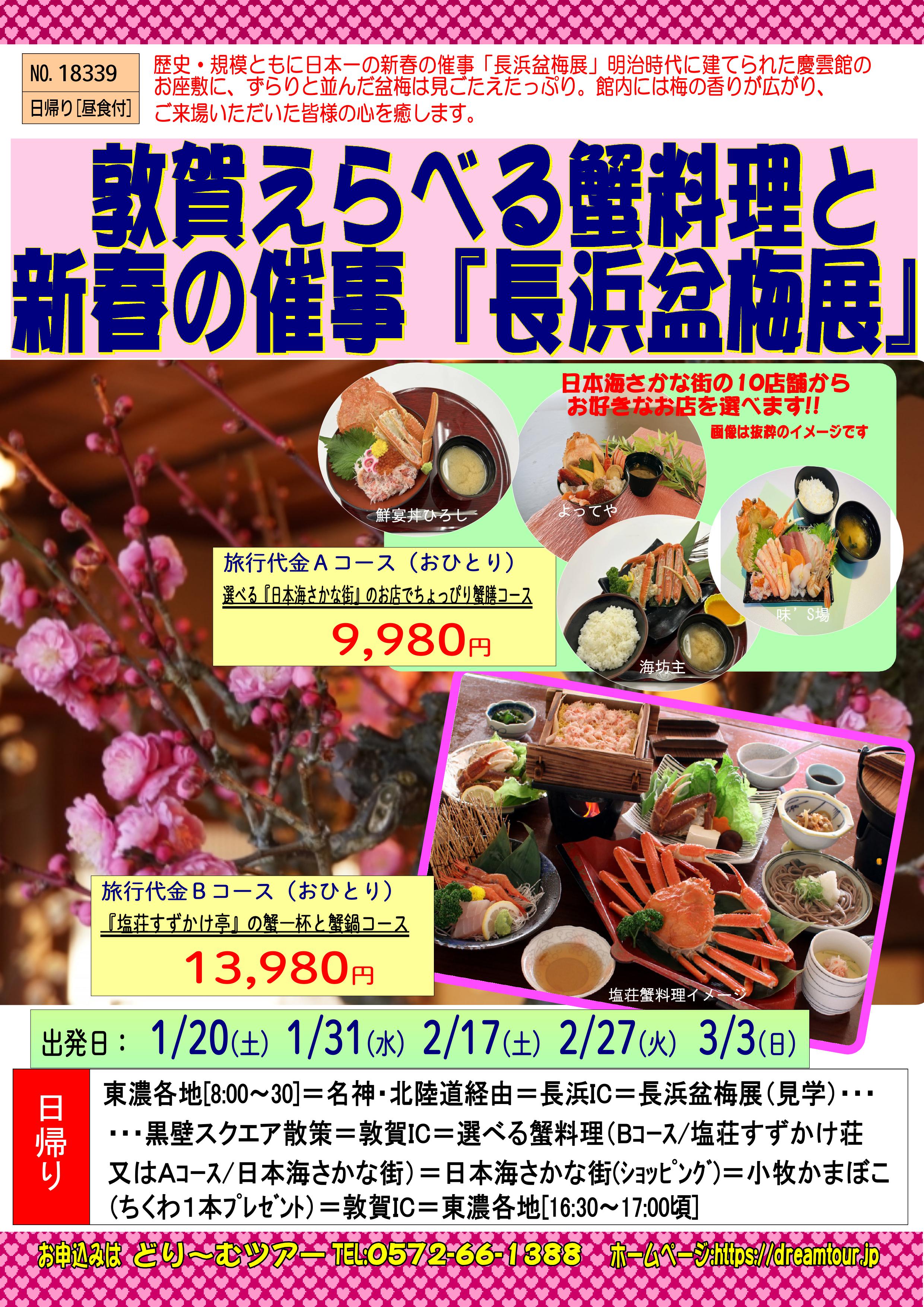 NO.18339 敦賀えらべる蟹料理と長浜盆梅店.jpg