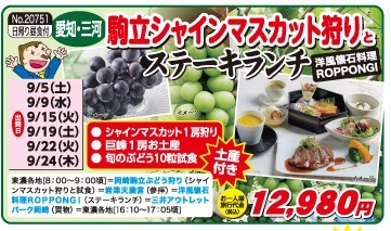 駒立シャインマスカット狩り.jpg