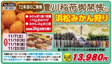 浜松みかん狩り.jpg