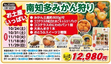 南知多みかん狩り.jpg