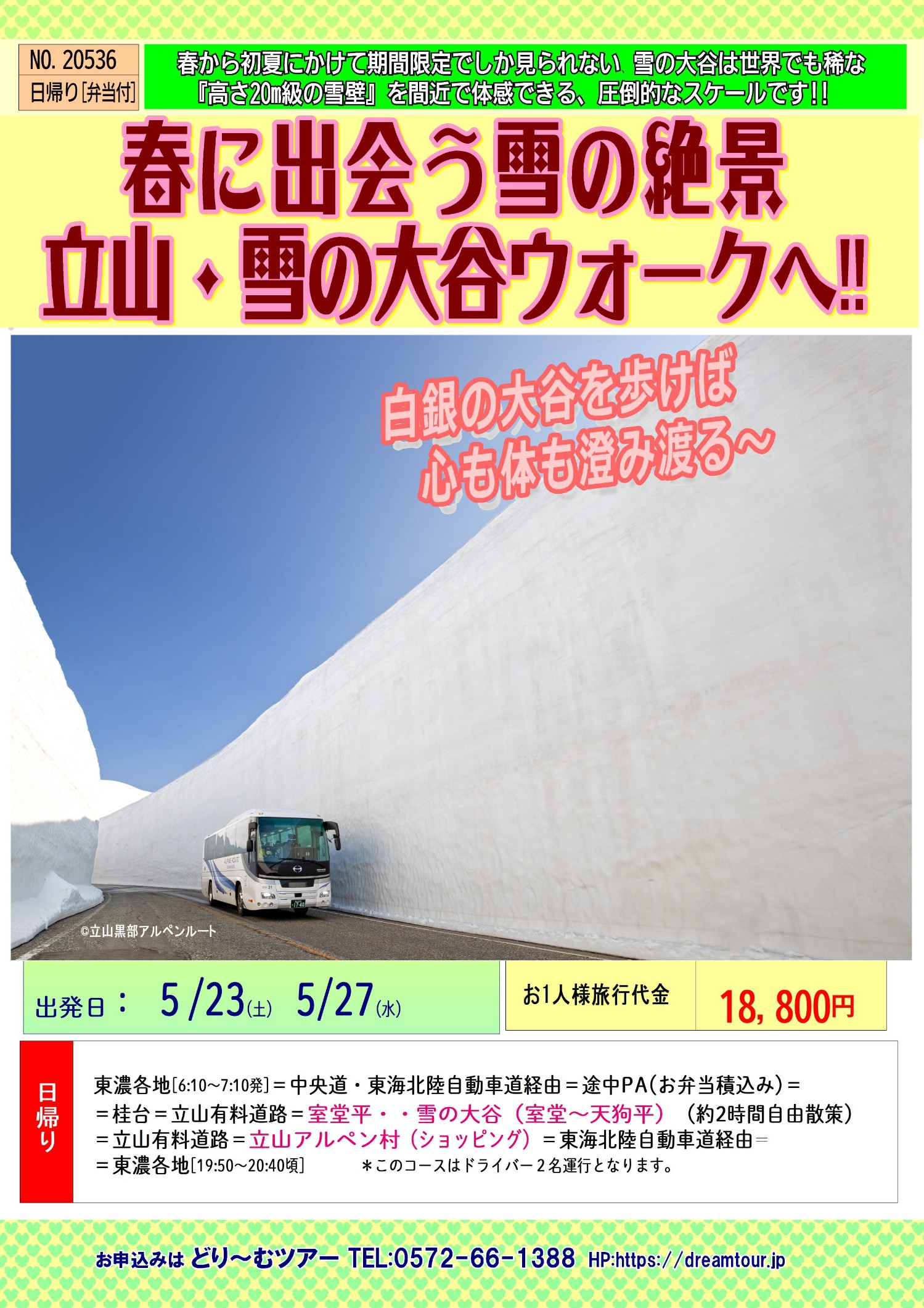 NO.20536  雪の大谷ウォーク.jpg