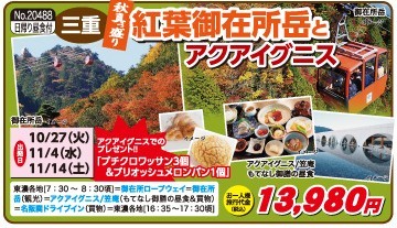 御在所紅葉.jpg