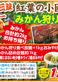 11/29発　催行決定まであと少し！
