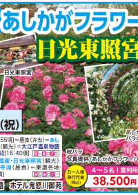 11/23発　出発決定！