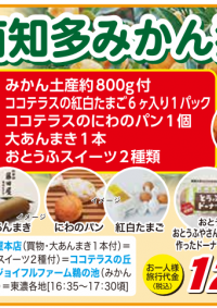 11/18発　出発決定！