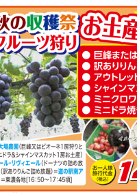 10/11発　空席あります！