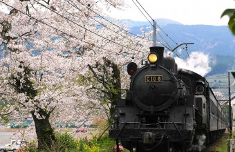 春爛漫！！大井川鐡道SL列車川根温泉ホテル大満足ブッフェ