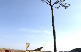 記憶をつなぎ・未来へつなぐ旅　東日本大震災から15年の東北へ‼