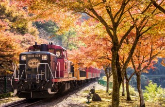 嵐山嵯峨野トロッコ列車と里山の休日「京都烟河」の旅
