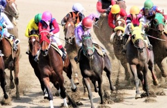 午年の開運旅！馬の疾走とステーキとワインで満たされる一日