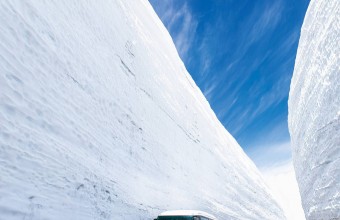 立山室堂平の春！圧巻の雪の大谷ウォーク！