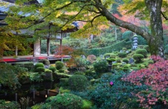 「京都渓涼床」と大原三千院