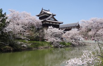 時空を超える歴史旅　古代の石舞台☓戦国の郡山