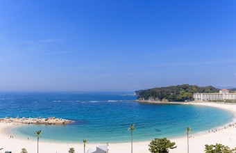 一目百万・香り十里！南部梅林と海を望む南紀白浜温泉の癒し旅