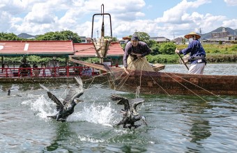 犬山　夏の風物詩　木曽川鵜飼【恵那発あり】